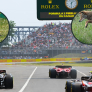 Ranked: The best 'F1 animals' of all time – The Tournament