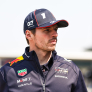 Max Verstappen issues Chinese Grand Prix ‘retirement’ plea