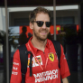 Vettel over nieuwe auto: "Alles is wat strakker"