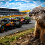 Why are there so many groundhogs at the Canadian Grand Prix?
