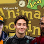F1 makes Animal Crossing appearance thanks to dedicated fan