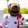 Gasly volgt Albon op en rijdt ook bosmarmot aan in Canada