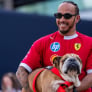 Lewis Hamilton shares heartbreaking pictures in Roscoe health update