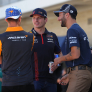 Ricciardo onthult beste vriend in de paddock: 'Moesten wel aan elkaar wennen'