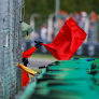 F1 Explained: What is a red flag?