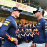 Verstappen : Ricciardo n'aurait pas dû quitter Red Bull