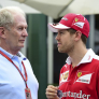 Marko over komst Vettel naar Red Bull: 'Niet in 2021, wellicht in 2022'