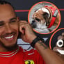 Lewis Hamilton reveals how dog Roscoe 'dropped turds' at F1 rival's door