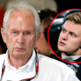 Ralf Schumacher: "Het lijkt erop dat Marko een probleem met de Schumacher-naam heeft"