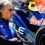 Red Bull geeft tekst en uitleg over opvallende 'Macarena'-vleugel