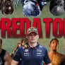 F1's new regulations will help Max Verstappen - 'They handed the Predator more weapons'