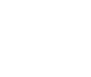 Primera Division logo