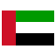 United Arab Emirates U19 logo