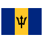 Barbados U23 club logo