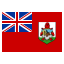 Bermuda club logo
