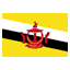 Brunei DS