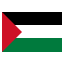 Palestine club logo