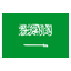 Saudi Arabia U20 logo