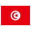 Tunisia U20 clublogo