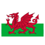 Wales U17 club logo